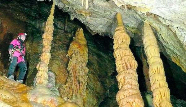 La bioespeleología pone el foco en Hornos de Segura y las cuevas del